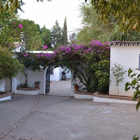 Casa Rural Sevilla, Olivares Olivares  المظهر الخارجي الصورة