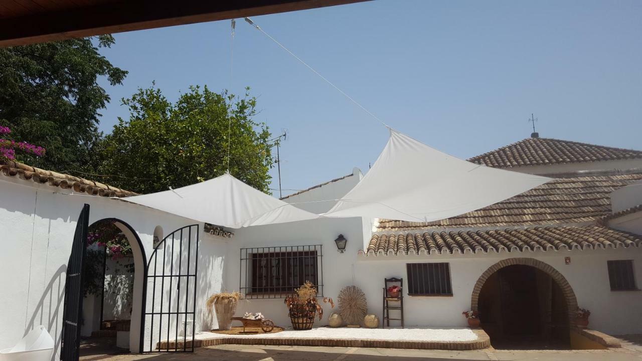 Casa Rural Sevilla, Olivares Olivares  المظهر الخارجي الصورة