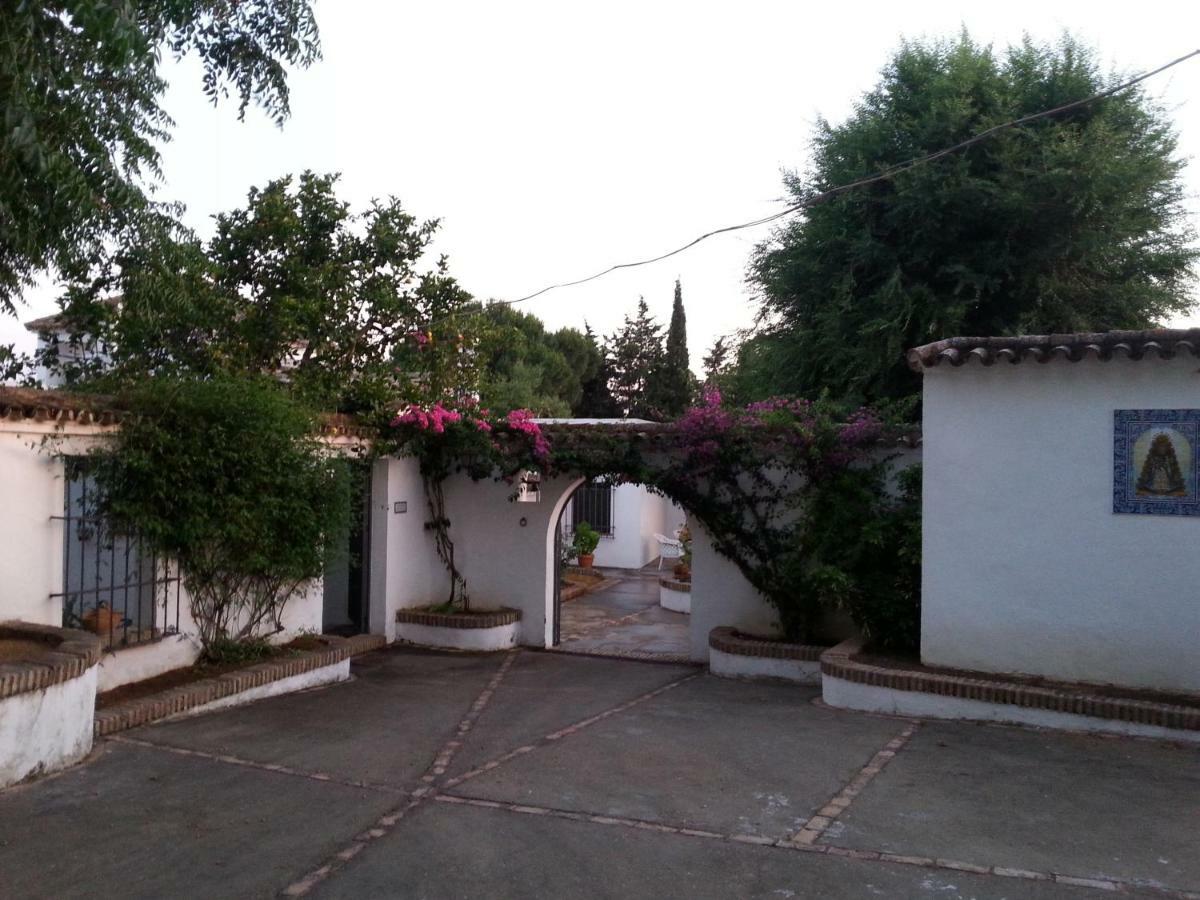 Casa Rural Sevilla, Olivares Olivares  المظهر الخارجي الصورة